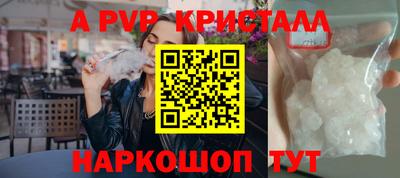 стафф Шелехов
