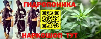 стафф Шелехов