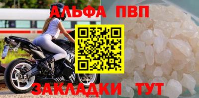 стафф Шелехов