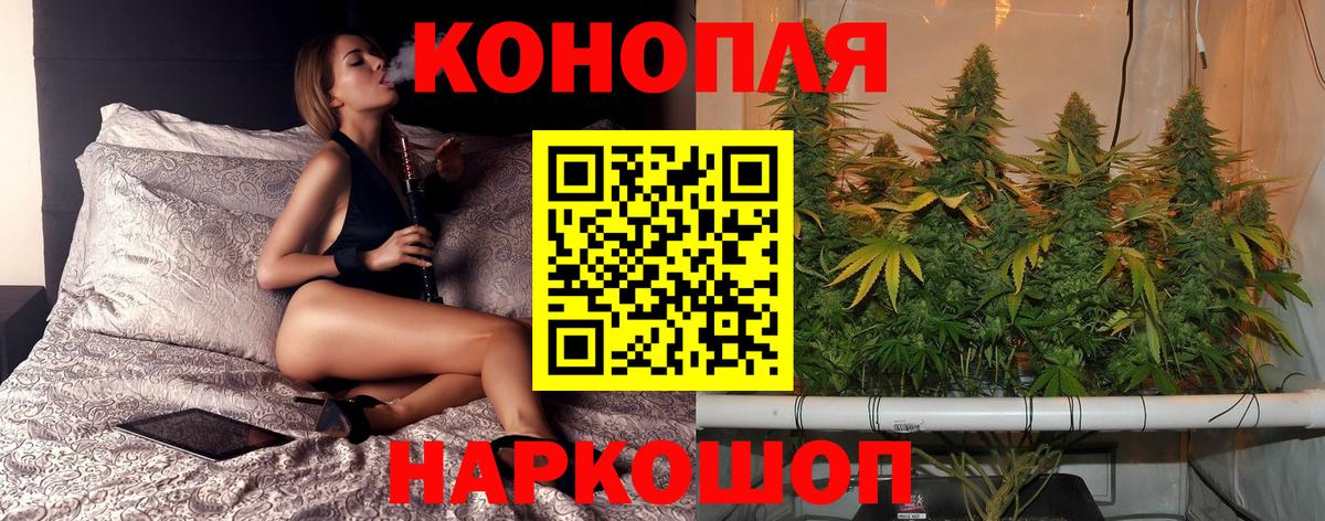Ачхой-Мартан  Бошки Шишки семена  Вход с VPN  Шишки марихуана VHQ  Канабис Bruce Banner 